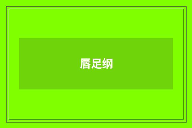唇足纲