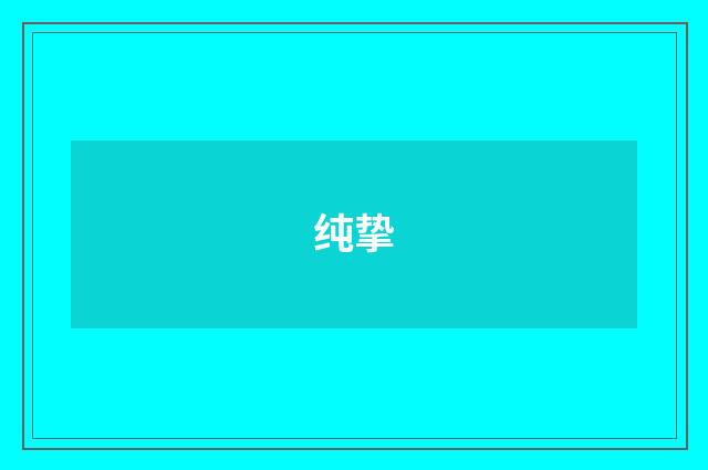 纯挚