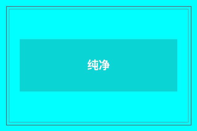 纯净