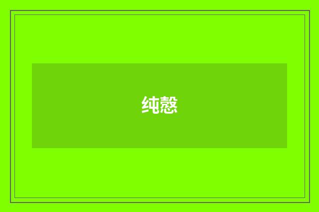 纯慤