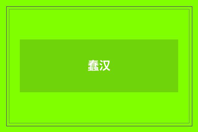 蠢汉