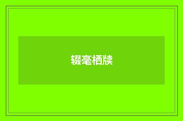 辍毫栖牍