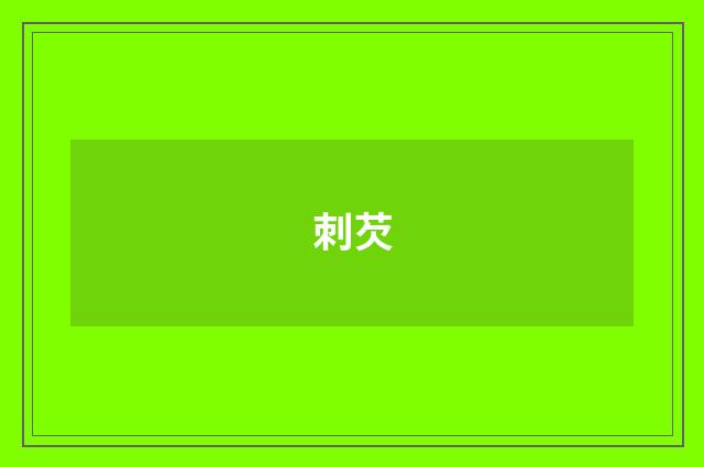 刺芡
