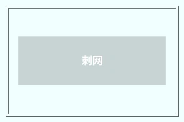 刺网