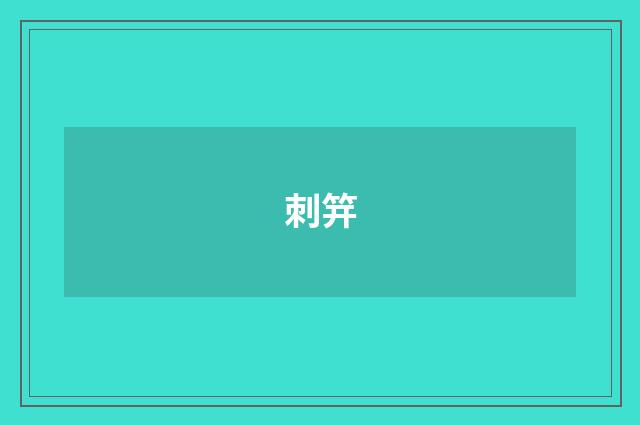 刺笄