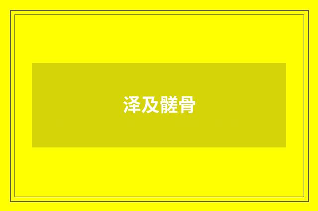泽及髊骨