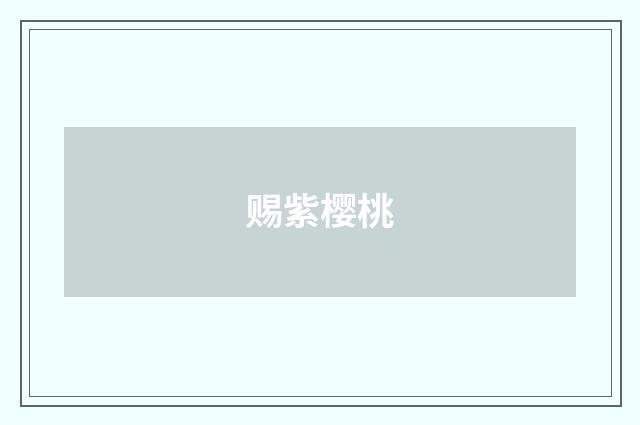 赐紫樱桃