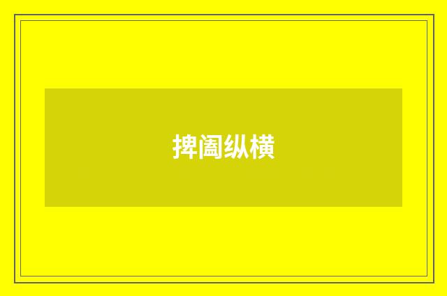捭阖纵横