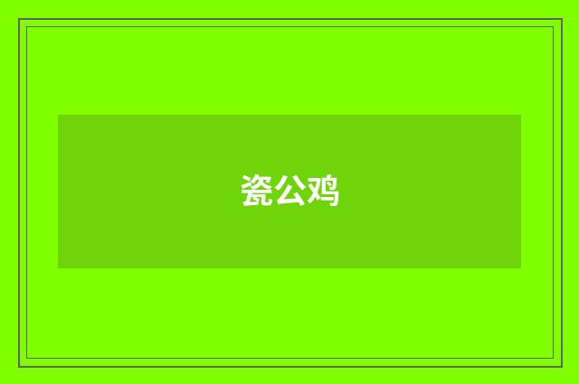 瓷公鸡