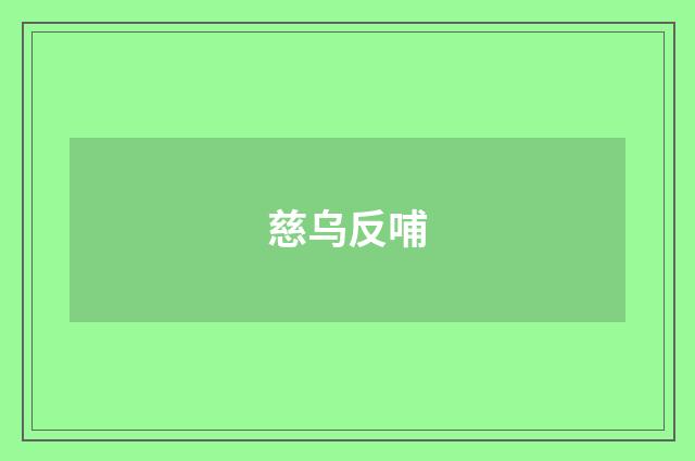 慈乌反哺