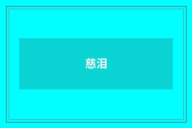 慈泪