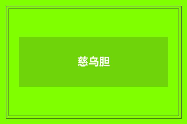慈乌胆
