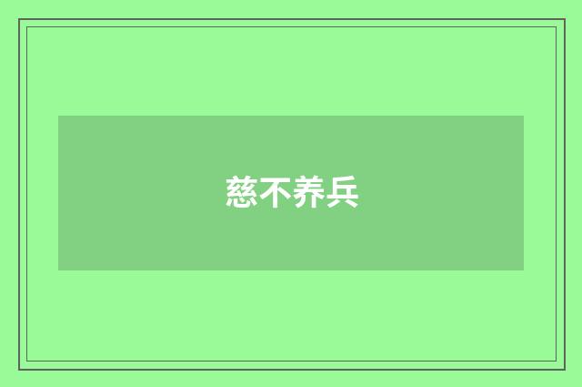 慈不养兵
