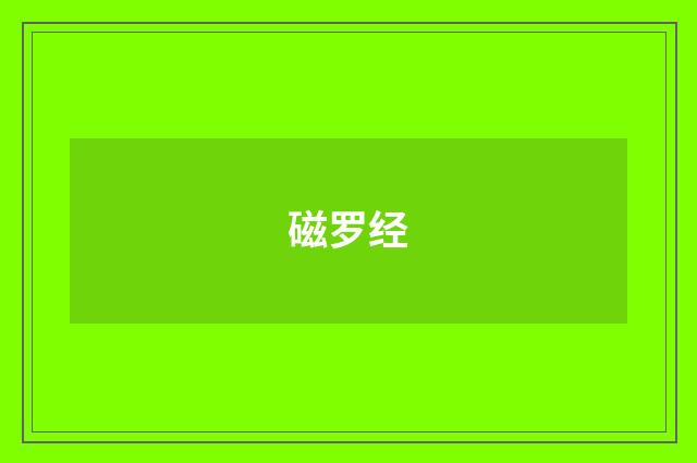 磁罗经