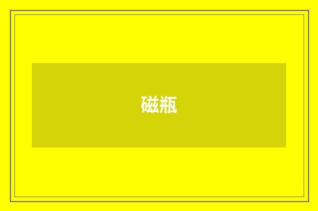 磁瓶