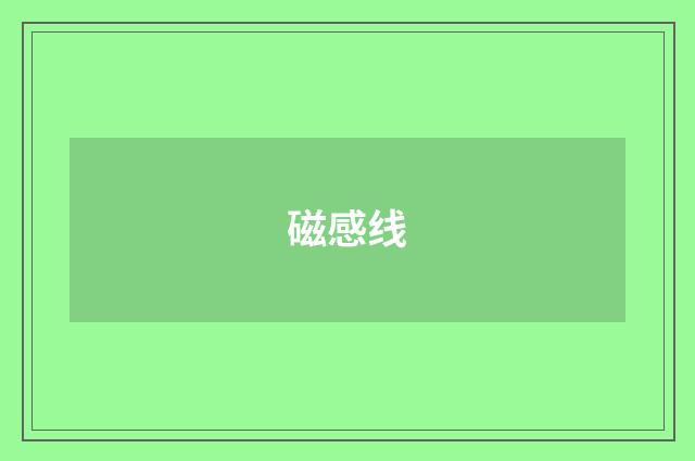 磁感线