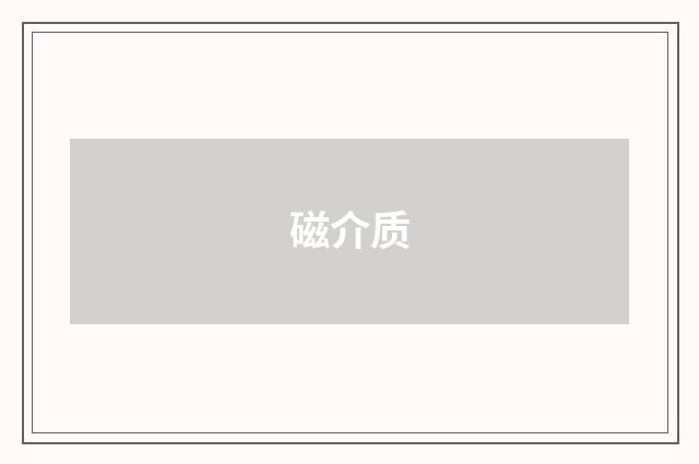 磁介质