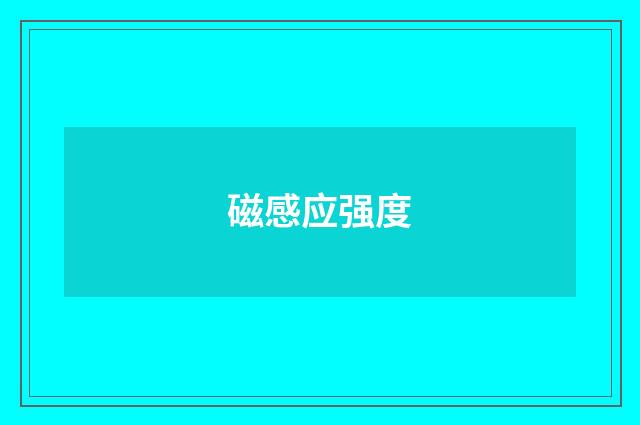 磁感应强度