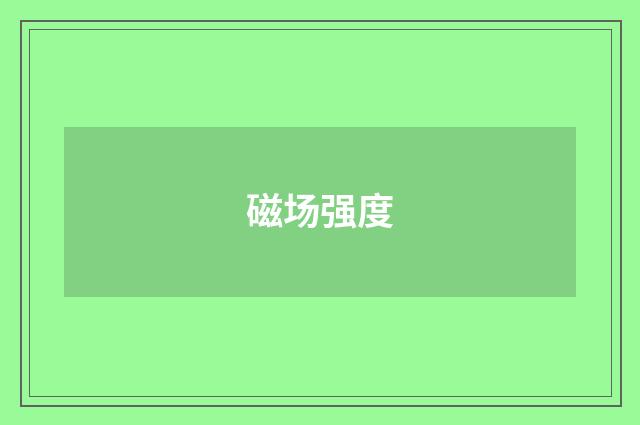 磁场强度