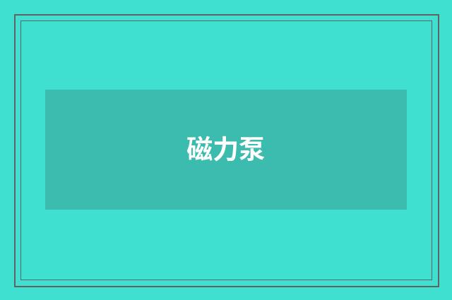 磁力泵