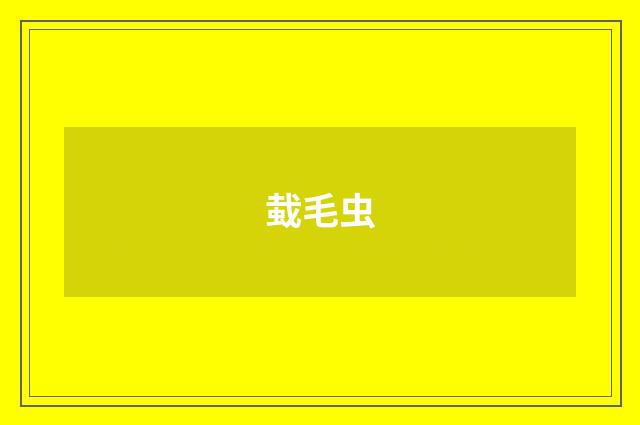 蛓毛虫