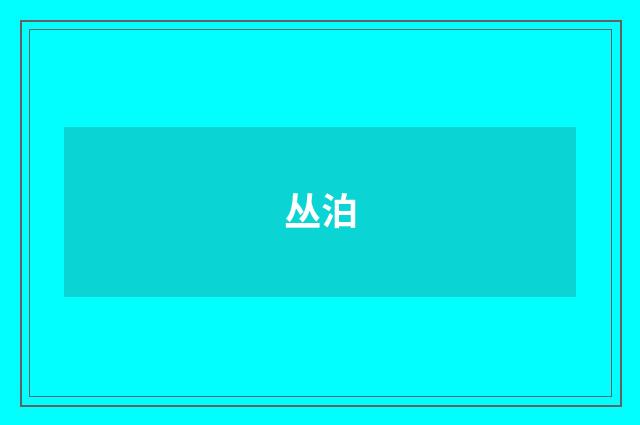 丛泊