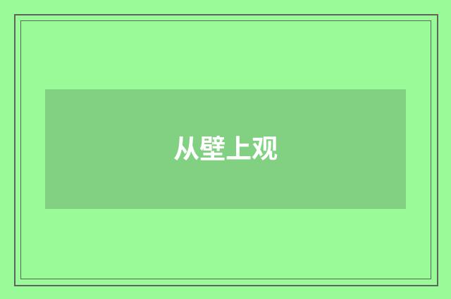 从壁上观