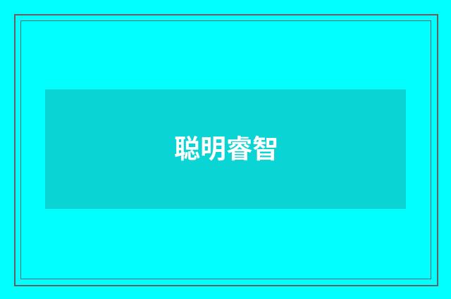 聪明睿智