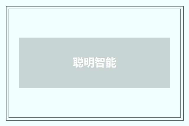 聪明智能