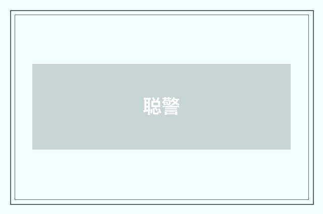 聪警