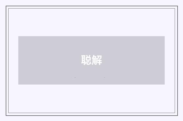 聪解