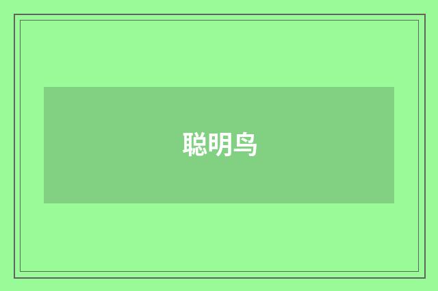 聪明鸟