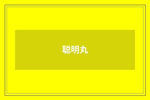 聪明丸