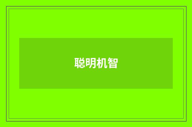 聪明机智