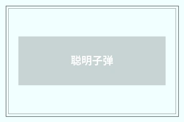 聪明子弹