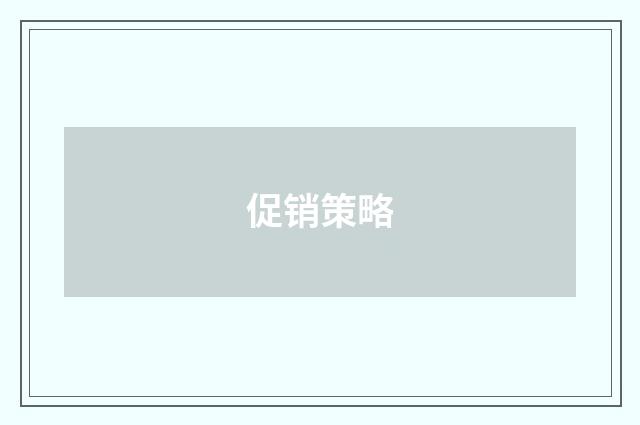 促销策略