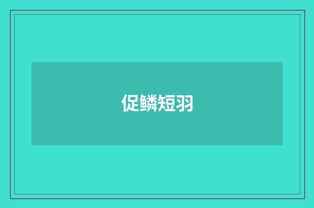 促鳞短羽