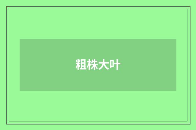粗株大叶