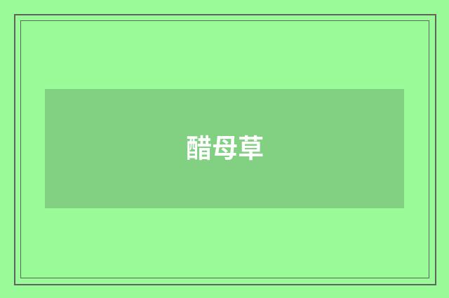 醋母草