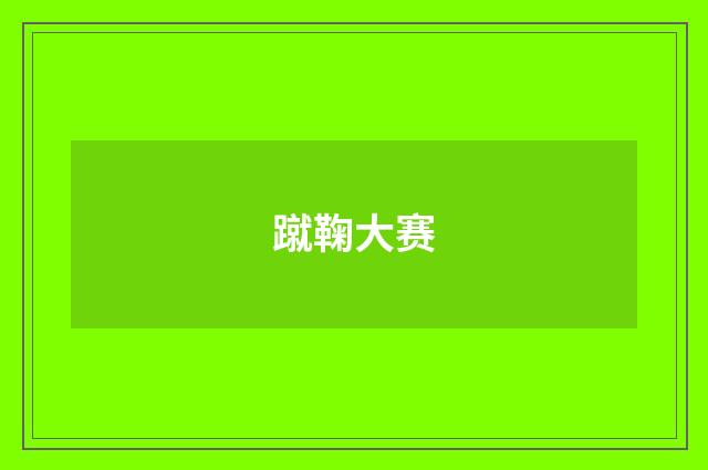 蹴鞠大赛