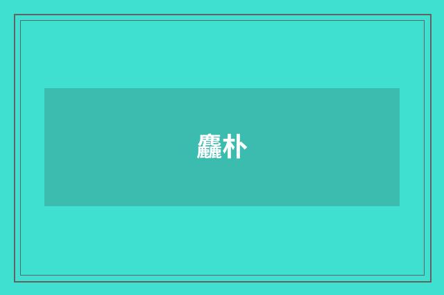 麤朴