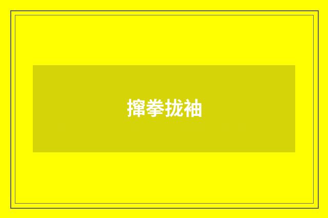 撺拳拢袖