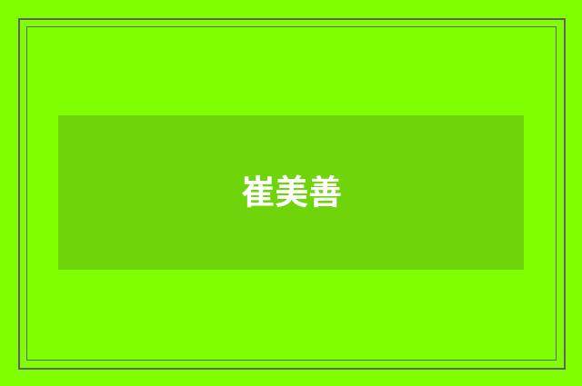 崔美善