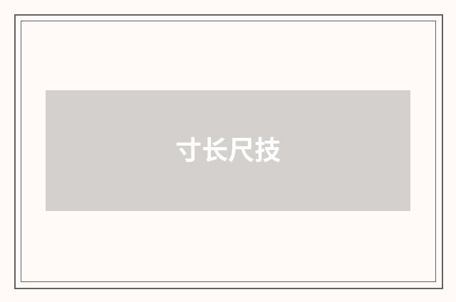 寸长尺技
