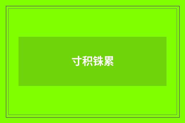 寸积铢累
