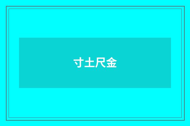 寸土尺金