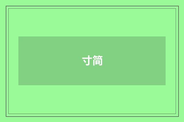 寸简