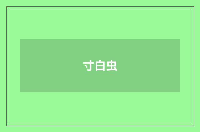 寸白虫