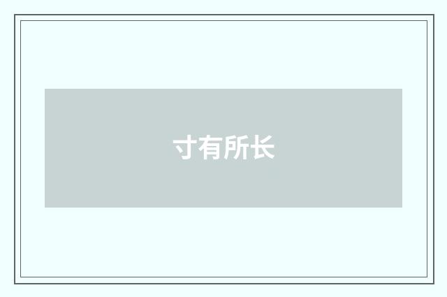 寸有所长