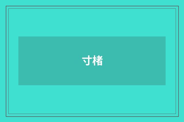 寸楮